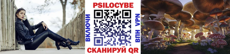 ссылка на мегу ссылки Татарск Галлюциногенные грибы Magic Shrooms