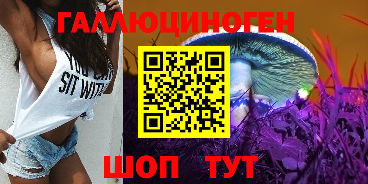Псилоцибиновые грибы Cubensis Татарск